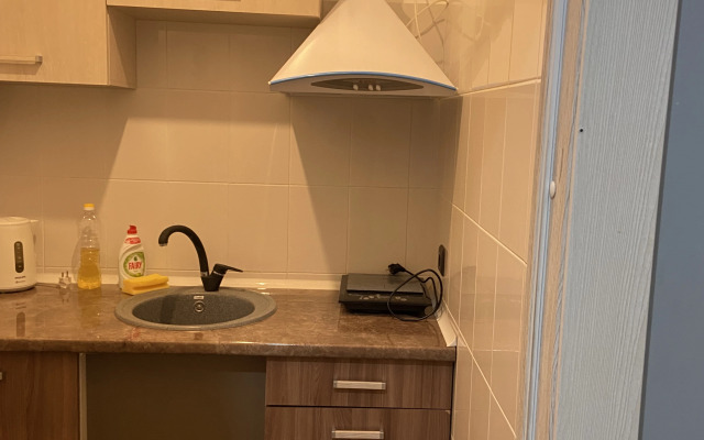 Dlya kompanii v tsentre goroda Apartments
