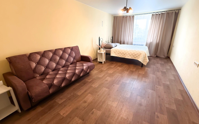 Квартира Мега просторная в центре