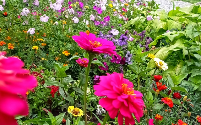 Solaris Guest House