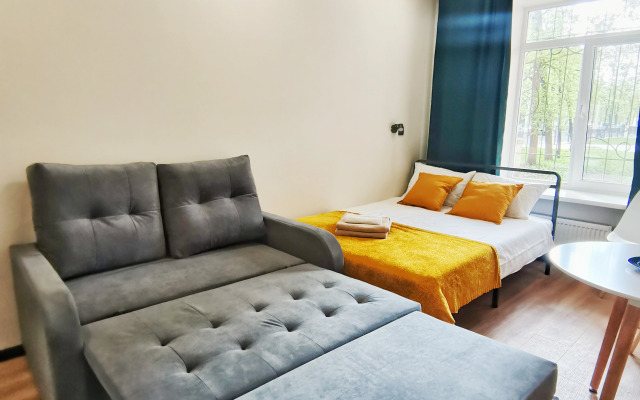 Апартаменты Студии Черника на Восьмиэтажке