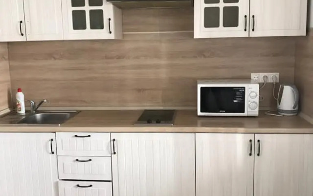 Апартаменты Студия с видом на Волгу