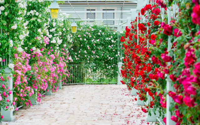 Отель Relai Sassa al Sole