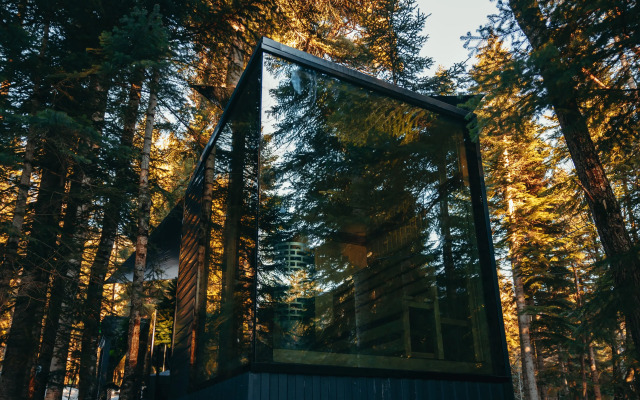 Magic Forest Glamping