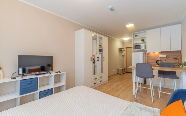 Apartment Standart SalutApart 8