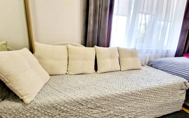 Апартаменты Двухкомнатные Центр, площадь Победы, Галицкого 19, Колибри#19