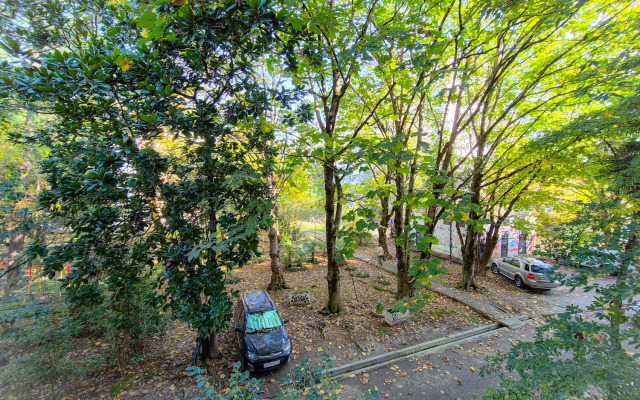 Квартира на улице Куйбышева 6