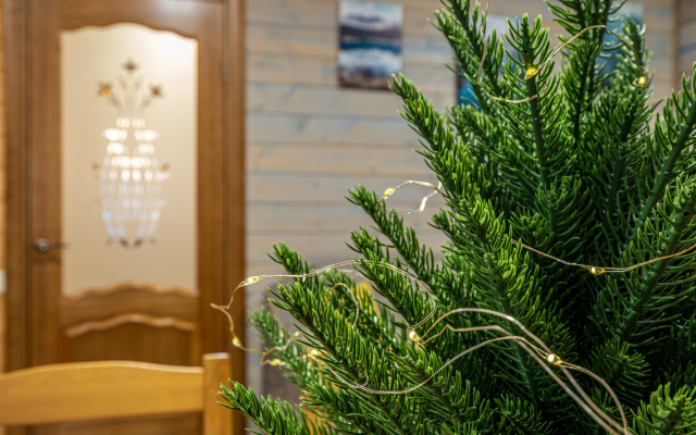 Гостевой дом Шале Аркасара