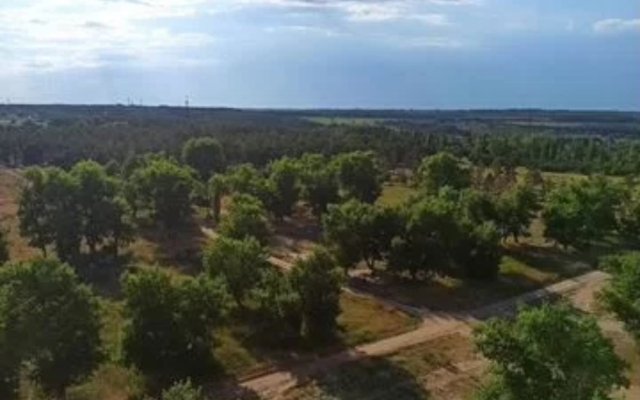 Квартира в Янтарном городе