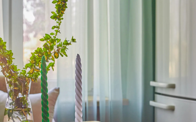 Квартира 2 Ночи на улице Красная 204