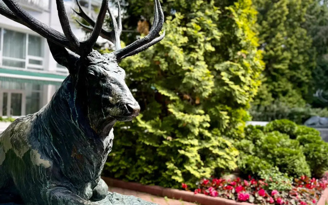 Отель Оздоровительный комплекс Сосны