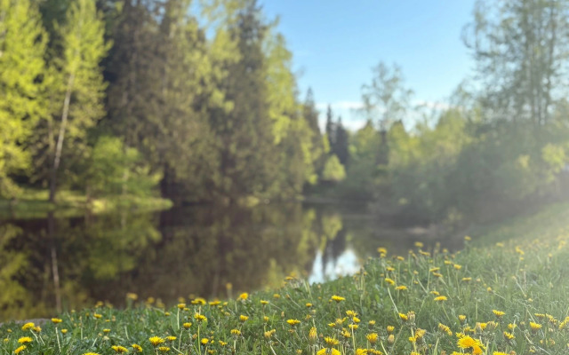 Частный дом Уютный жилой зимний в сказочно живописном месте