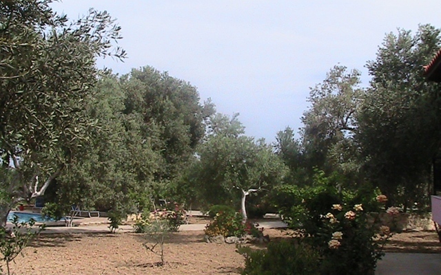 Afroditi Villa