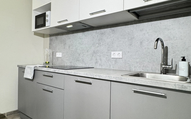 2 Nochi Na Vitebskom Prospekte Flat