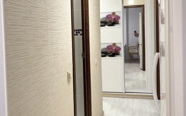 Uyutnaya kvartira v tsentre goroda Flat