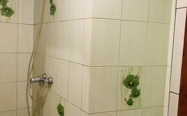 Vladislava Guest house