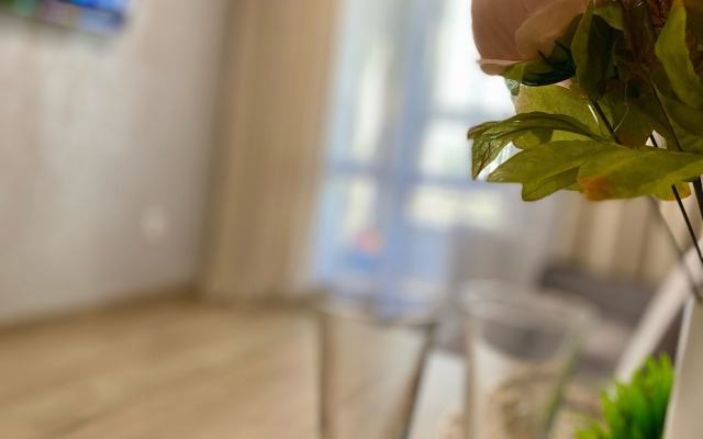 Kvartira v Tsentralnom Rayone Goroda Flat
