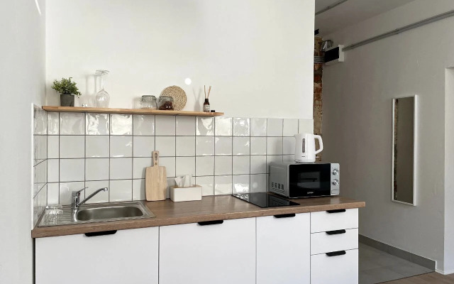 Studiya vo Fligele Starinnogo Doma Flat