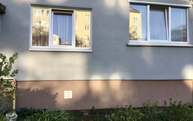 2-kh komnatnaya Amber apartment Flat