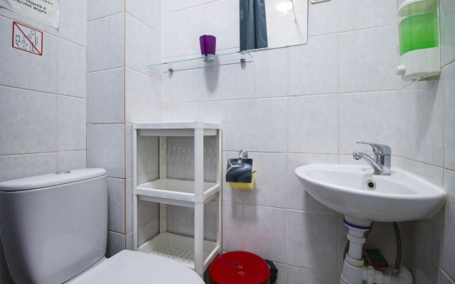 Меблированные комнаты Дубровки-Лесное