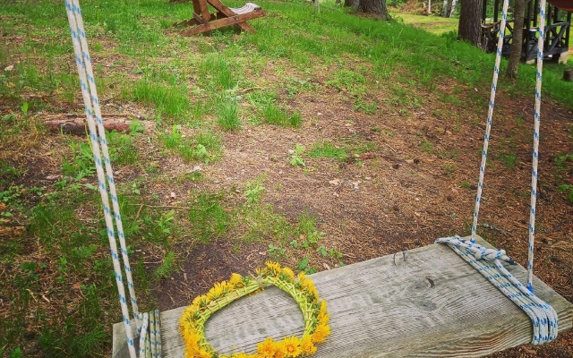 Гостевой дом Сосновая роща