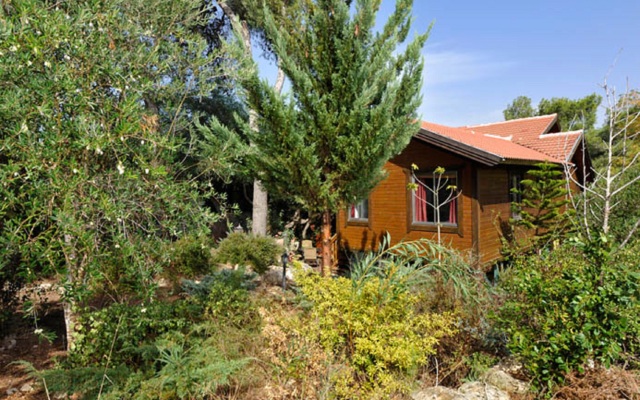 Tree House Chalets Shale