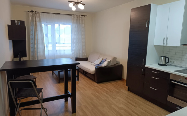 Квартира Просторная Квартира у Лахта-Центра