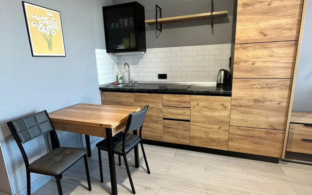 V Tsentre Apartment