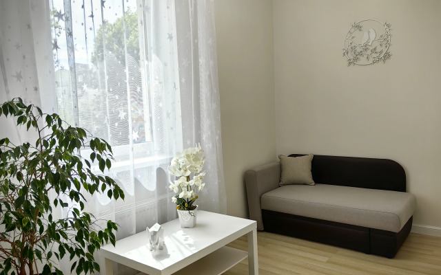 Uyut V Istoricheskom Tsentra Amalienau Flat