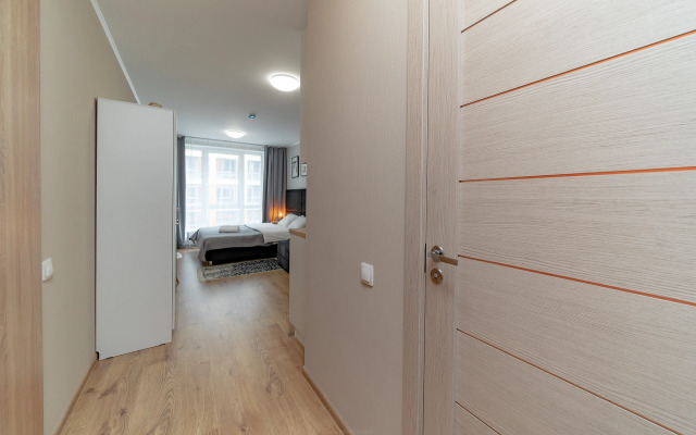 Апартаменты Уютная студия 1743