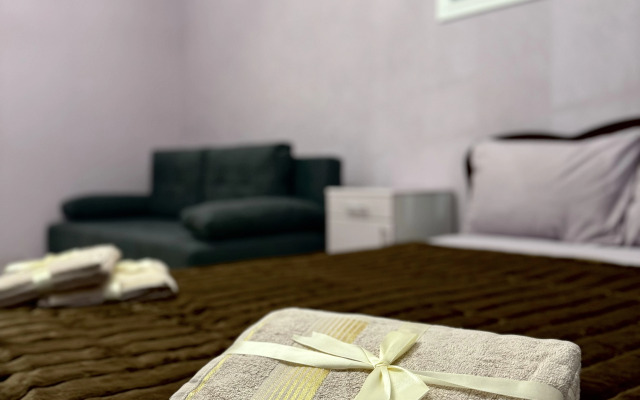 Prostornaya Odnushka Ryadom S Tsentrom Apartment