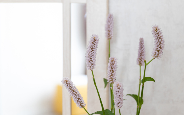 Апартаменты #TwinPeaks_byApartica