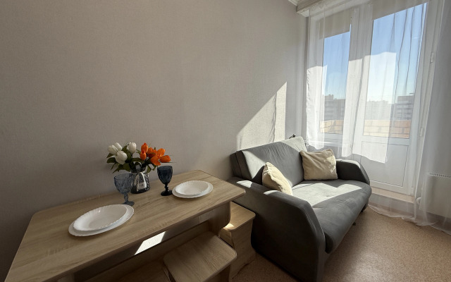 Апартаменты 1 плюс 15 минут пешком до аквапарка