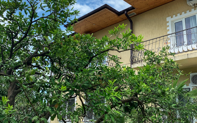 Divny Sad Guest House