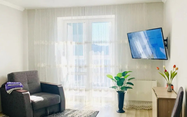 Na Dadaeva Apartments