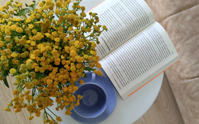 Квартира Морриса Напротив Шашлычной 1