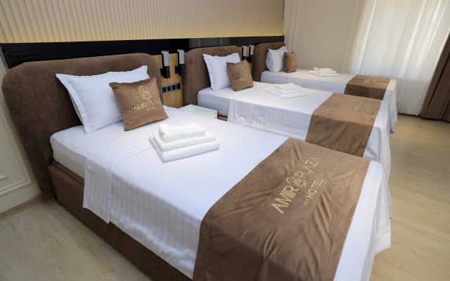 Amir Plaza Hotel