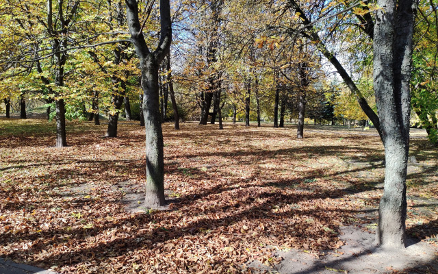 V Tikhom Tsentre Goroda Apartments