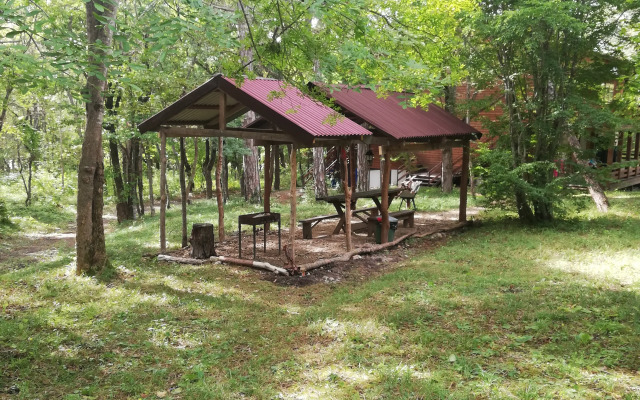 Zelyony Bor Recreation center