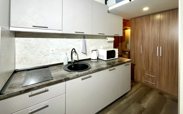 Квартира 2 Ночи на улице Жуковского 28 (3)