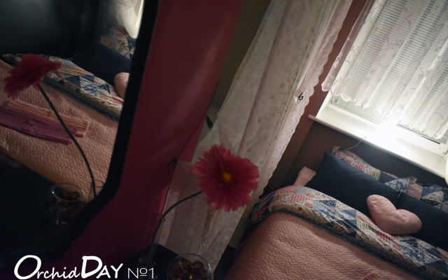 Мини-Отель  День Орхидей