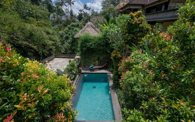 Manas Entire 2 Bedr Villa Private Jungle Pool -- 5 min Central Ubud Villa – Outside – Ubud