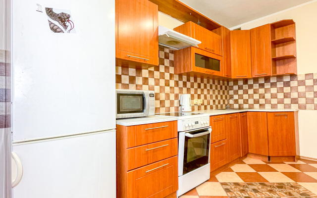 Odnokomnatnye na Guryanova 2/3 Apartments