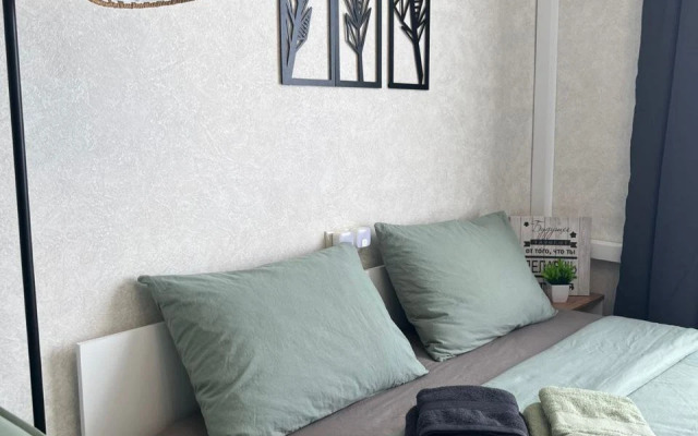 Svetlaya studiya u metro Solntsevo Flat