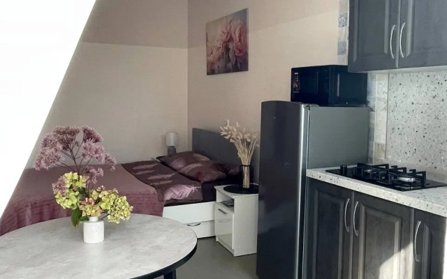 Апартаменты Нежность у реки Волга