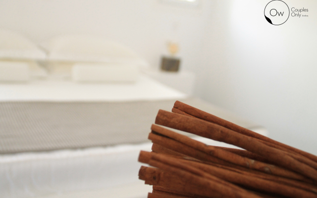 Ow Andros Luxury Suites Villa
