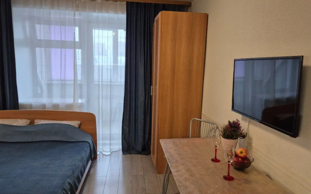 Kvartira-studiya s Lodzhiej na Sinel'nikova 1 Flat