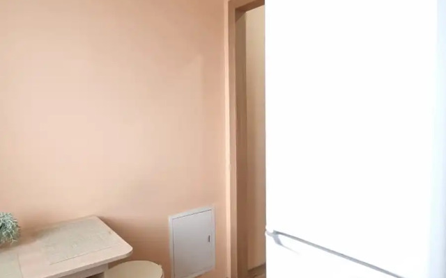 Квартира Уютная Однокомнатная Около Аэропорта Толмачево им Покрышкина