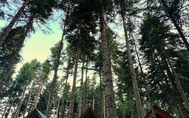 Barn&wood Hotel