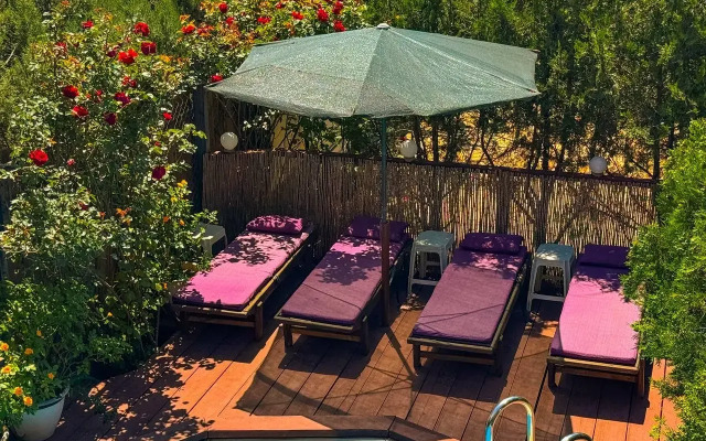 Шале Арт дача Панаехало