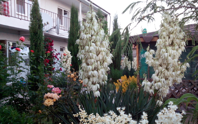 Tsvetok Granata Guest House